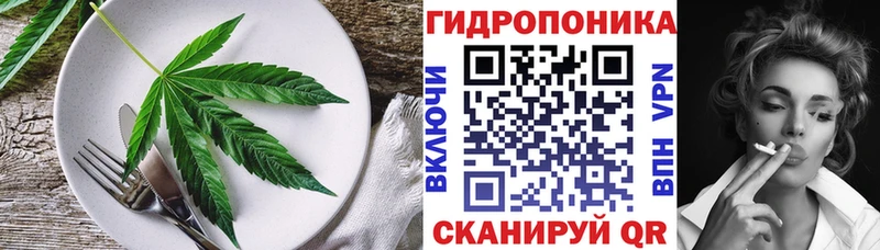 Canna-Cookies марихуана  Ленинградская 