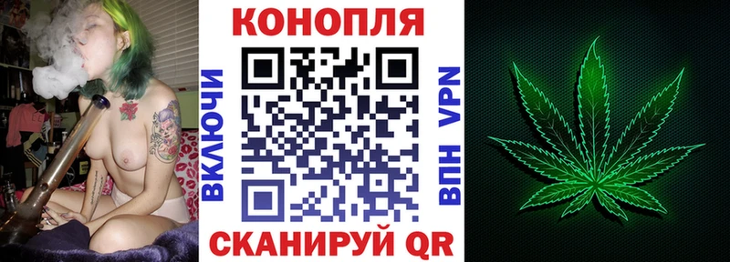Конопля ГИДРОПОН  купить   Ленинградская 